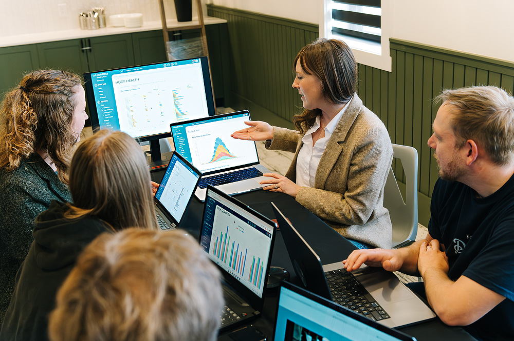 Team working on dairy analytics