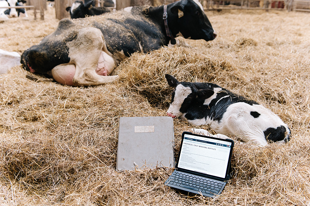 Animal Health Management