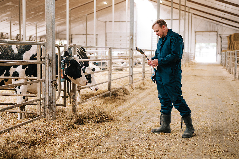 Farmer using CATTLEytics app in barn