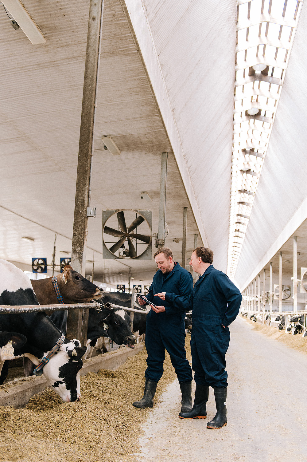Two farmers reviewing data on tablet
