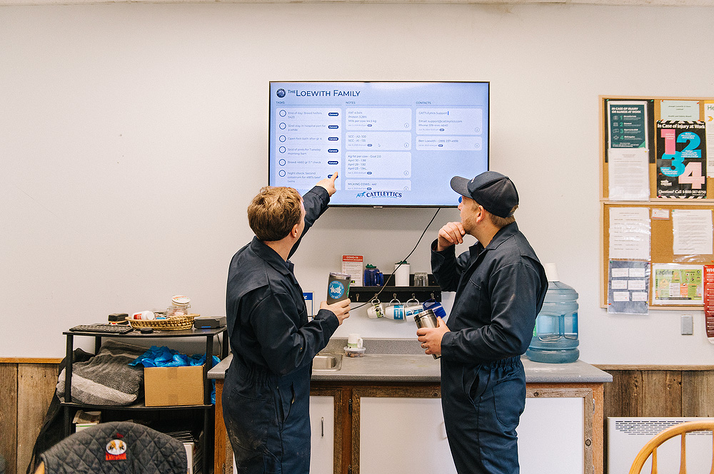 Task & Workflow Management